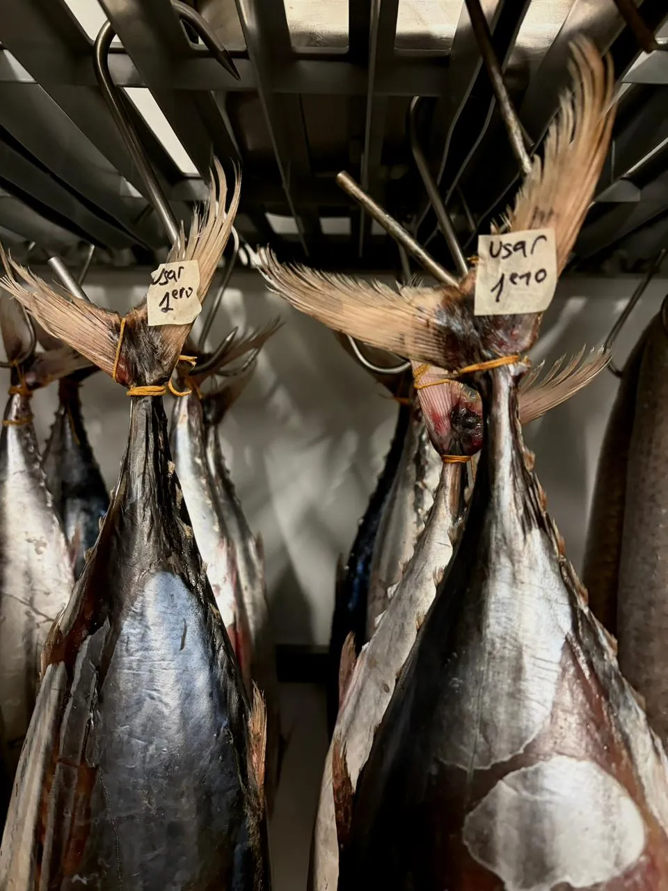 Pescados frescos del día, listos para las brasas