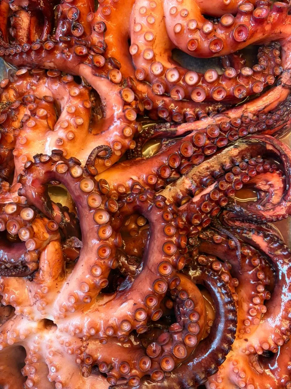 Pulpo a la parrilla, uno de los clásicos de NESS