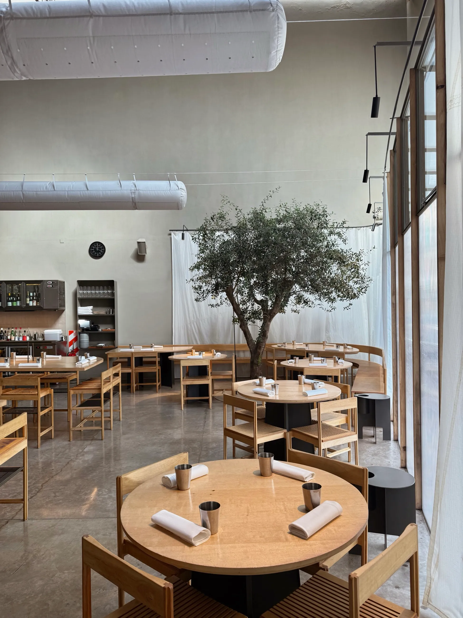 Salón de NESS de día, con el olivo y los techos altos de la antigua sodería